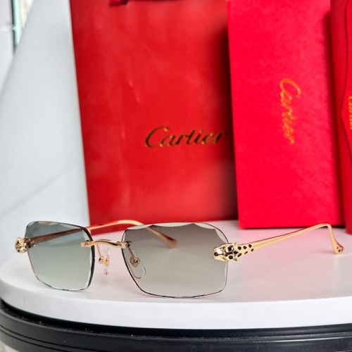 Cartier Sunglasses-1038